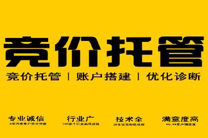 案例分析：SEM优化助力电商销量增长